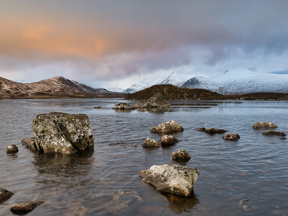 Rannoch Moor Winter II