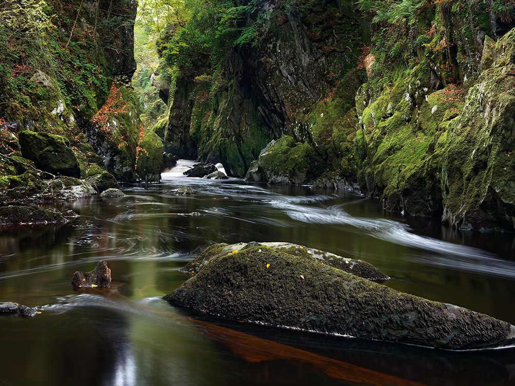 Mystical Fairy Glen II