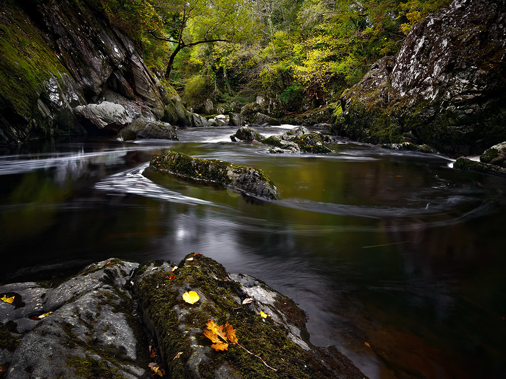 Fairy Glen & Leaf