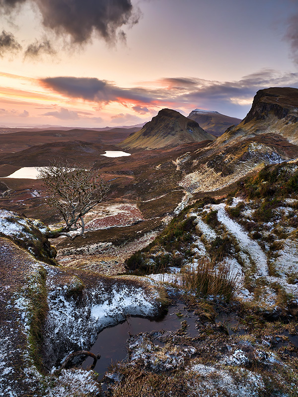 Quiraing Lone Tree Winter II