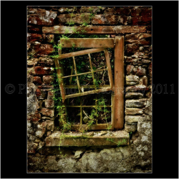 Derelict, Donegal 0013