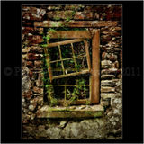 Derelict, Donegal 0013
