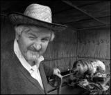 Pig Roast