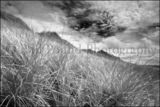 Long Strand