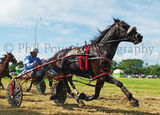 Lee Valley Races.