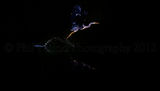 Heron takes flight at Twilight