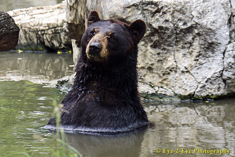 Cooling Down