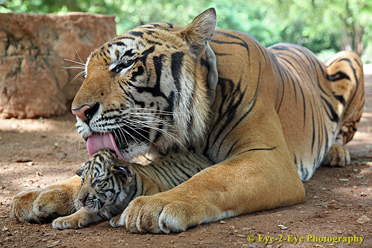 Father & Son