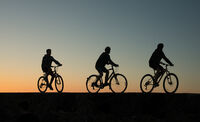 1st Anthony Le Conte ,Silhouette Contre Jour,3 Bicycles