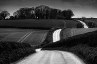 2nd= Nigel Byrom LRPS,  CPAGB,  AFIAP,  BPE3 Mono Long Lane