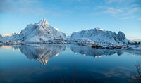 3rd Anthony Le Conte ,Panoramic, Reine