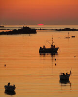 3rd Brian Johnson ,Silhouette Contre Jour,Soaking Up The Sun-2