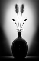 4th Nigel Byrom LRPS,  CPAGB,  AFIAP,  BPE3 Still Life Vase With Dried Flowers