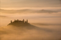 Anthony Le Conte ,Open Print, Belvedere Ii