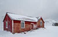 Anthony Le Conte ,Red-any shade, Red House