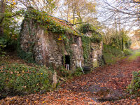 Ben Le Prevost ,Open 2021 PDI, The Old Barn