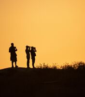 Ben Le Prevost ,Silhouette Contre Jour,Look Out