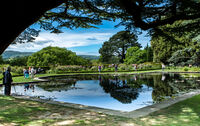 Berni Kerrigan ,Silhouette Contre Jour,Lily Pond At Bodnant Gardens