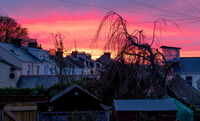 Berni Kerrigan ,In Your Garden, At The End Of A Perfect Day