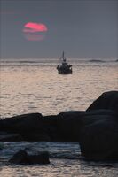 Brian Johnson ,Open Print, Catching The Sun