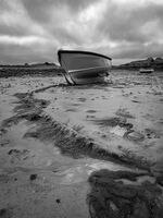 Brian Johnson  Open Low Tide