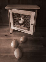 Brian Johnson  Still Life Fresh Eggs