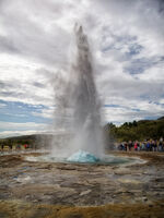 Carl Bideau  Action Old Geyser