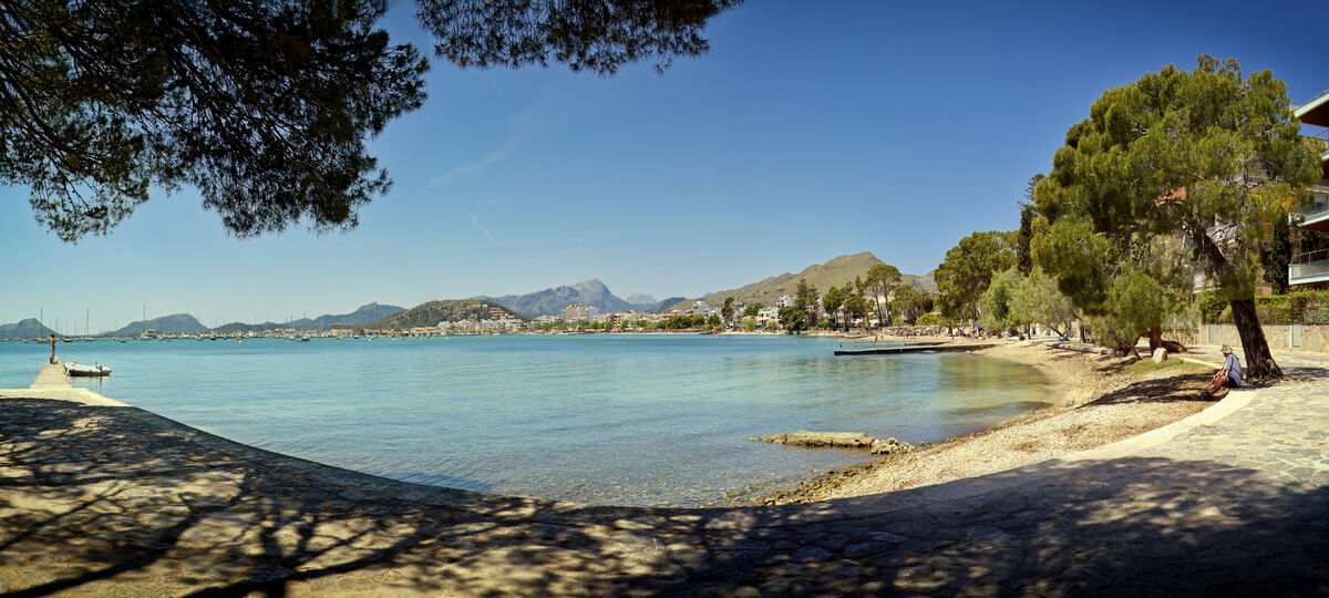 Carl Bideau  Panoramic Under The Tree