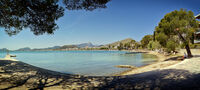 Carl Bideau  Panoramic Under The Tree