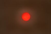 David Le Prevost LRPS,Red-any shade, Sun In Sandstorm