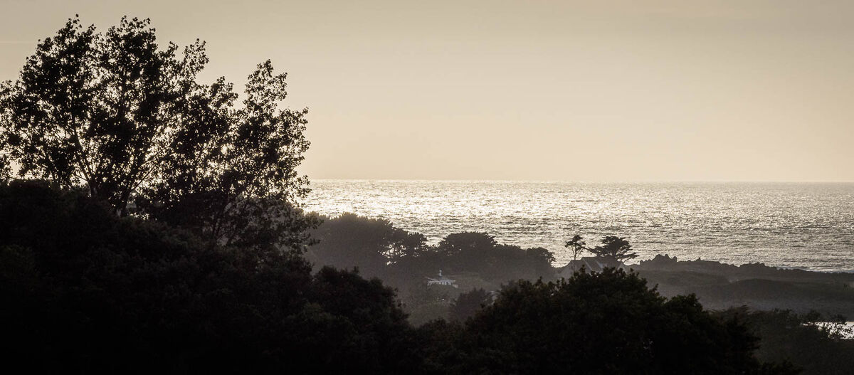Derek Bridel AFIAP, BPE2,Silhouette Contre Jour,West Coast