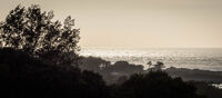 Derek Bridel AFIAP, BPE2,Silhouette Contre Jour,West Coast