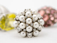 Derek Bridel AFIAP, BPE2 Narrow Depth Of Field Custume Jewellery