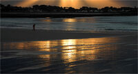 Derek Tostevin DPAGB, BPE1,Silhouette Contre Jour,Evening Stroll