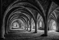 Honours MO Anthony Le Conte Fountains Abbey