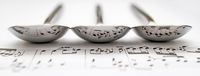 Honours MO Derek Bridel AFIAP BPE2 Musical Spoons