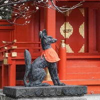 Joanne Mahy ,Red-any shade, Shrine