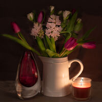Joanne Mahy  Still Life Flowers Still Life