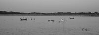 John Johnson ,Panoramic, First To The Boat Wins