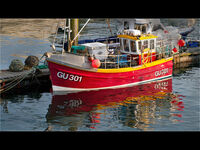 Martyn Elliston LRPS,Red-any shade, Gu301