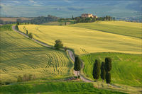 Merit CO Anthony Le Conte Val D Orcia