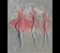 Merit CO Derek Tostevin APAGB BPE1 sand tree ballet