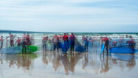Nigel Byrom ,Annual Colour Print, Surfs Up