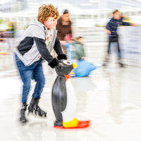 Nigel Byrom LRPS,  CPAGB,  AFIAP,  BPE3 Action Skate