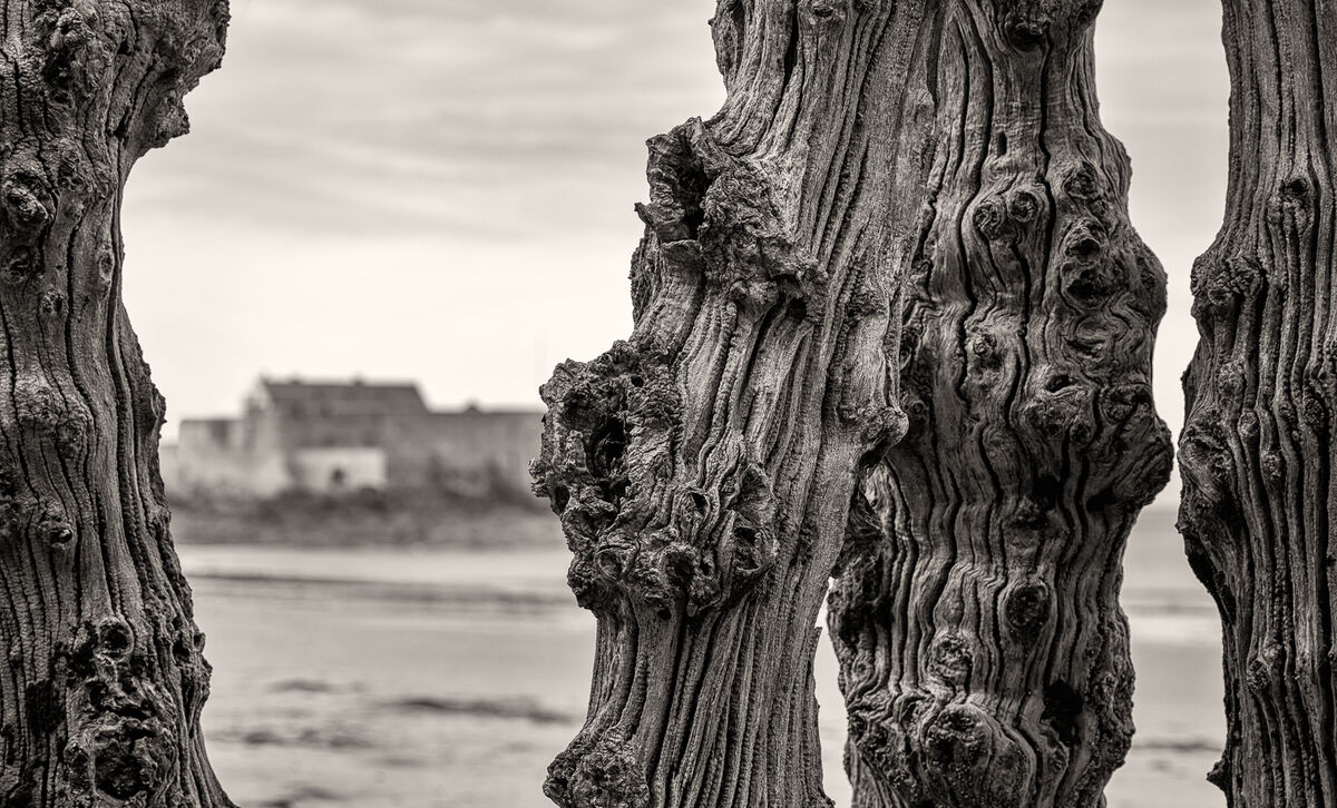 Nigel Byrom LRPS,  CPAGB,  AFIAP,  BPE3 Mono Time And Tide