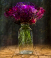 Nigel Byrom LRPS,  CPAGB,  AFIAP,  BPE3 Still Life Flowers In Jar