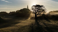 Nigel Byrom ,Silhouette Contre Jour,Taking Off