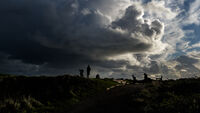 Nigel Byrom ,Silhouette Contre Jour,Teeing Off