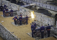Nigel Du Jardin  Action Fire