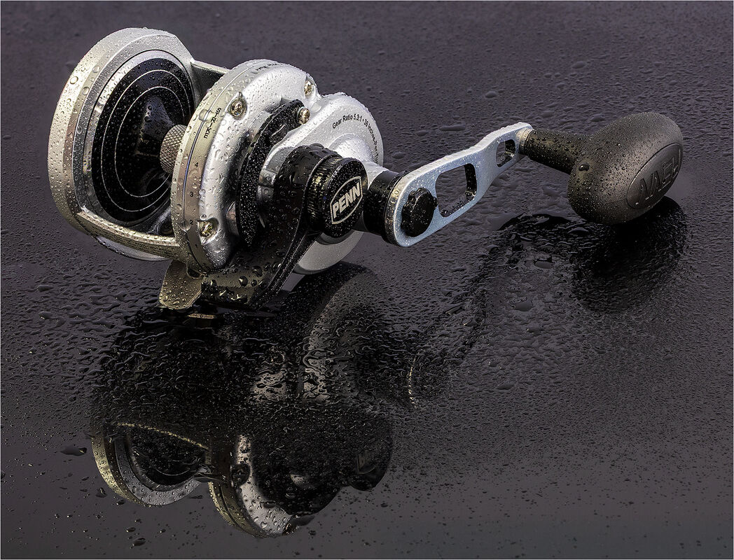 Nigel Du Jardin  Still Life Fishing Reel